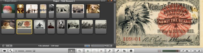 FieldMuseum Project Version 2